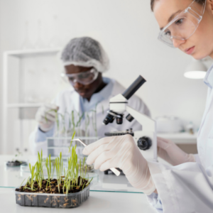 PG TRB BOTANY (Post Graduate Teacher Recruitment Board Botany)